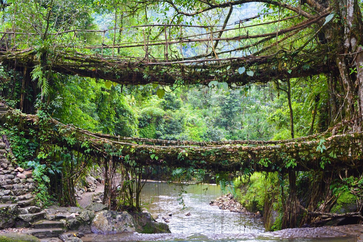 Day 08:	Shillong-Cherapunjee-Shillong(60 km/1-2 hrs)